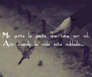 Evelin