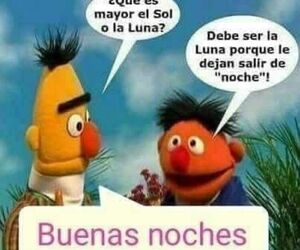 Lobi
