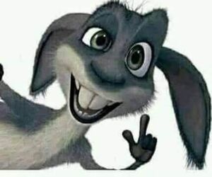 Geli