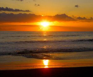Marea