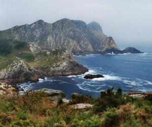 Gallega