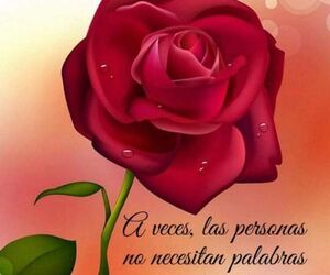 Loreto
