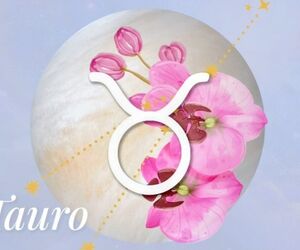 Mari