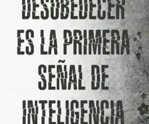 Dayana