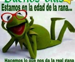 Taly
