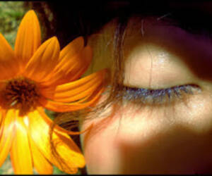 Judit