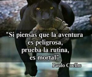Asturianin65