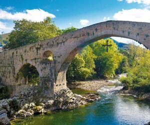 Asturianina