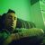 Adry Garcia Al