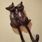 Amantes del mundo gatuno