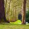 Jardí­n Botánico Atlántico 