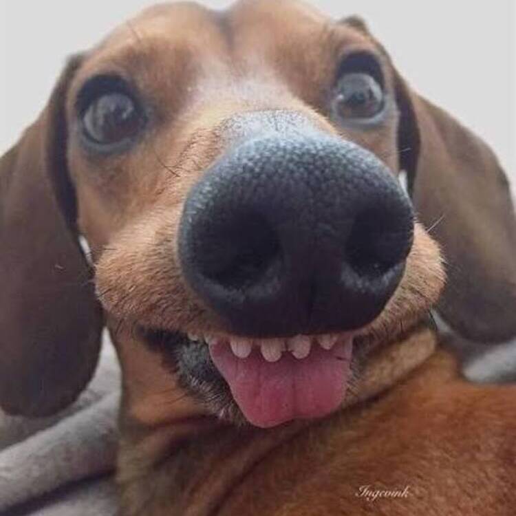 Foto de perfil de Eduardo