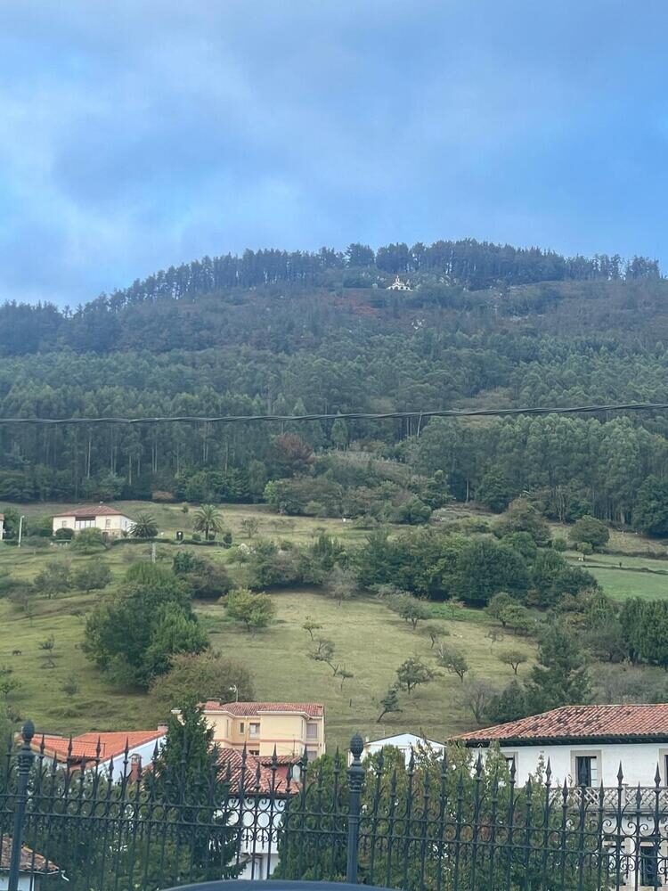 Foto de perfil de Vicente