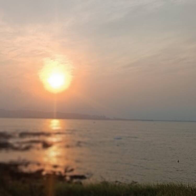 Foto de perfil de Mari