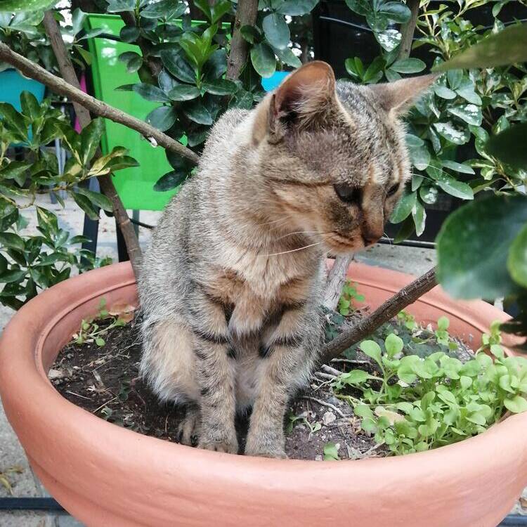 Foto de perfil de Clara