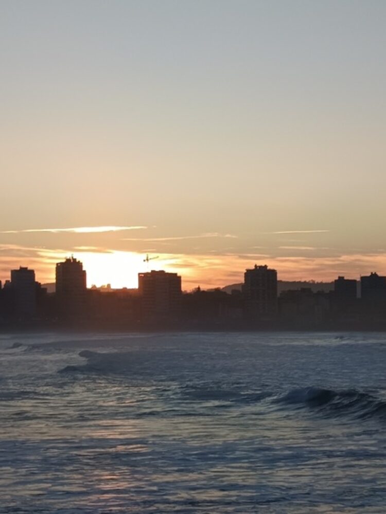 Foto de perfil de Yoli