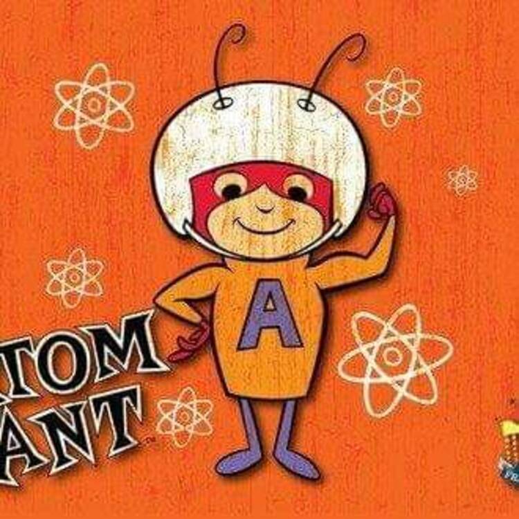 Atom ant