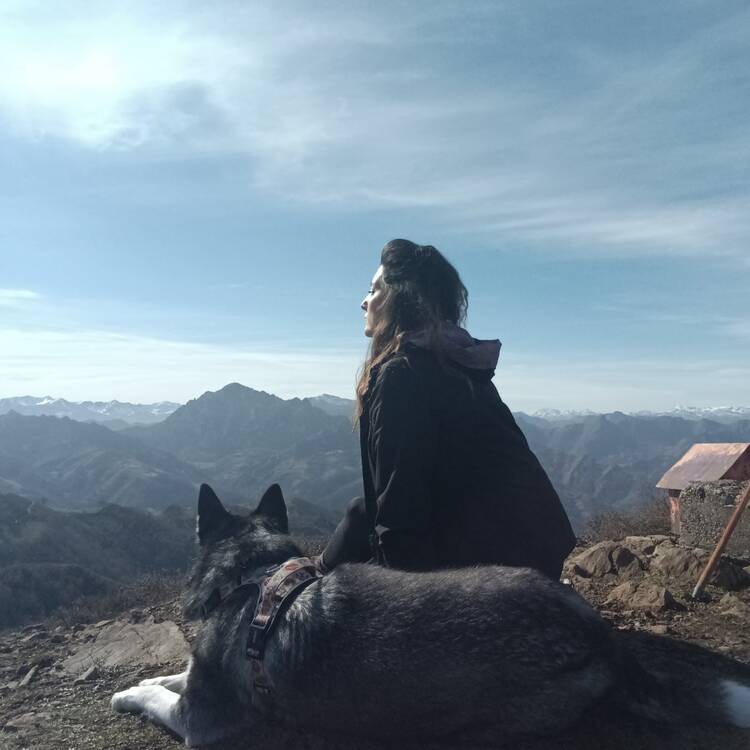 Foto de perfil