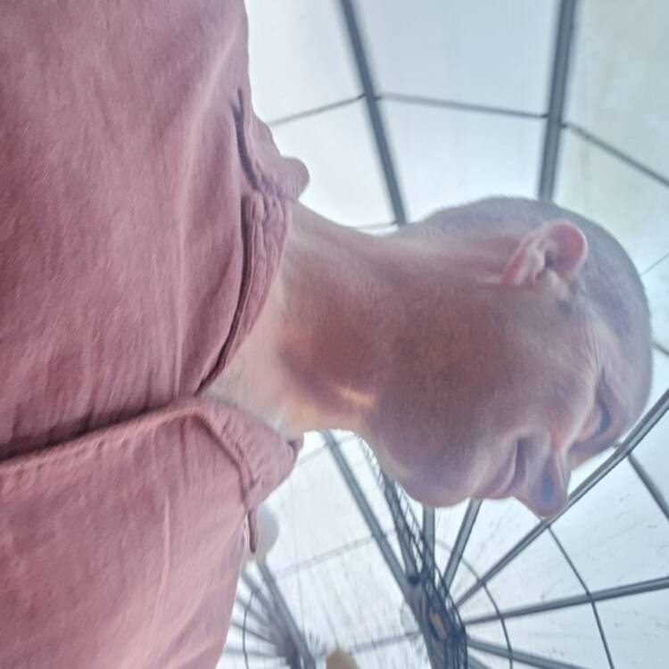 Foto de perfil de Arturo