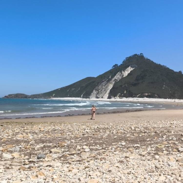 Foto de perfil de Maribel