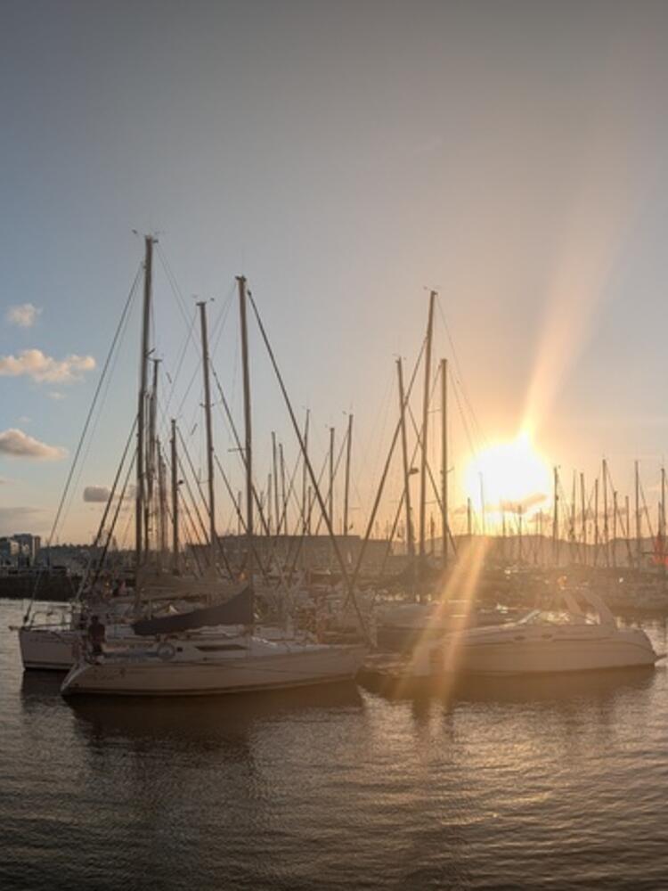 Foto de perfil de Elena