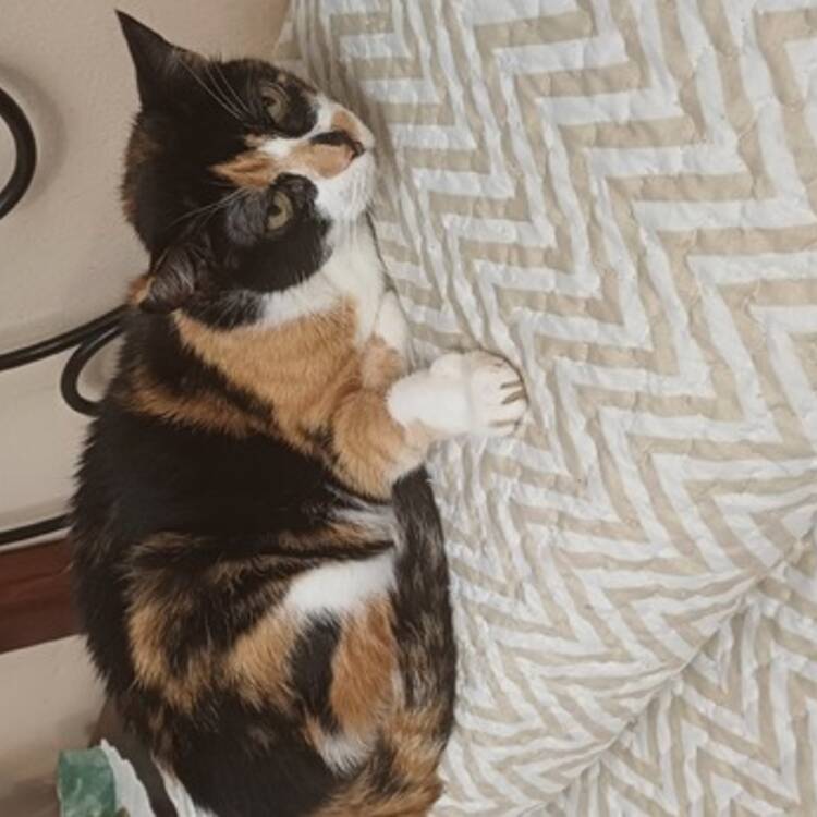 Foto de perfil de Esther