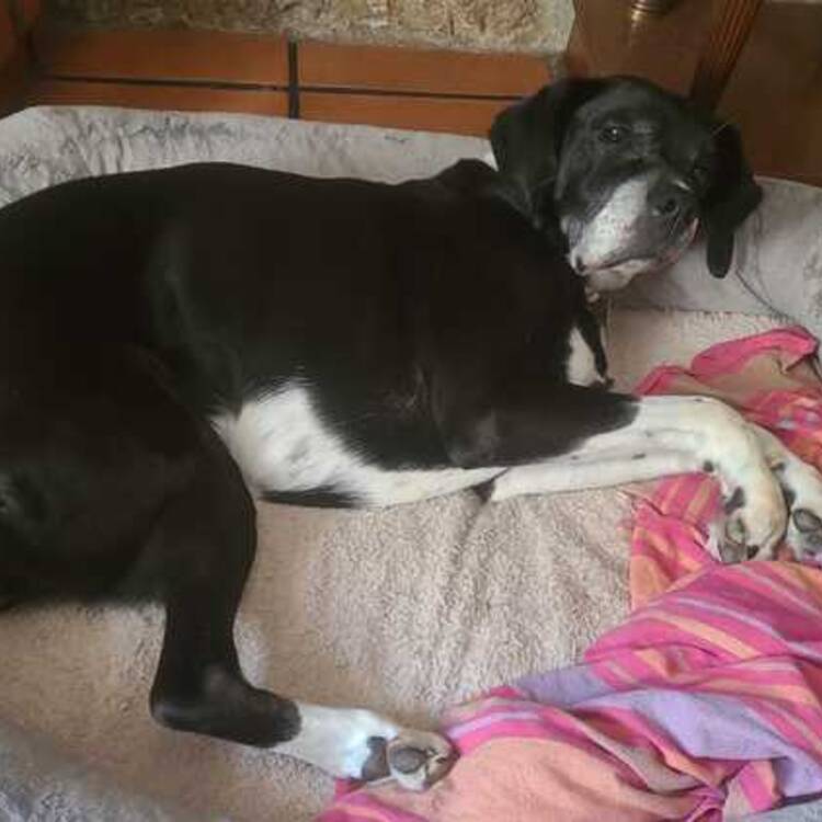 Foto de perfil de Lourdes